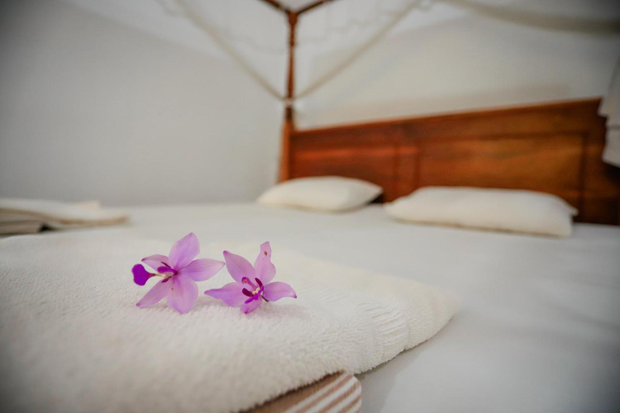Serene Home Stay Uda Walawe Extérieur photo